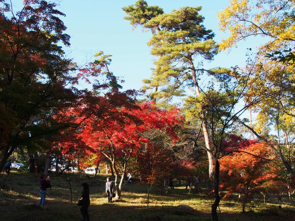 Inn Yokotei Nagatoro  Экстерьер фото