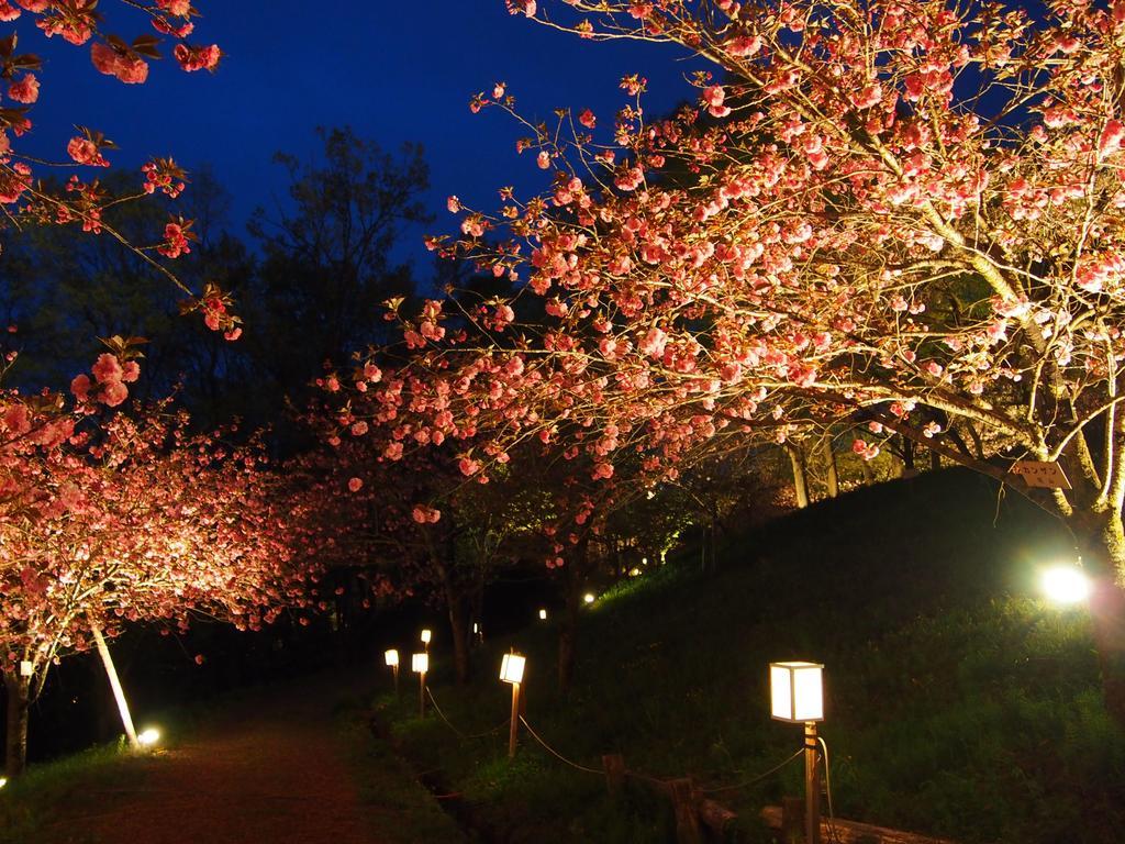 Inn Yokotei Nagatoro  Экстерьер фото